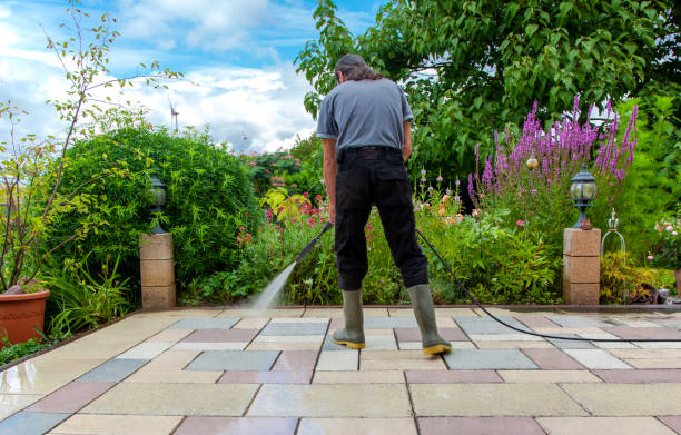 Best Pre-Holiday Cleaning  in Granite Falls, MN